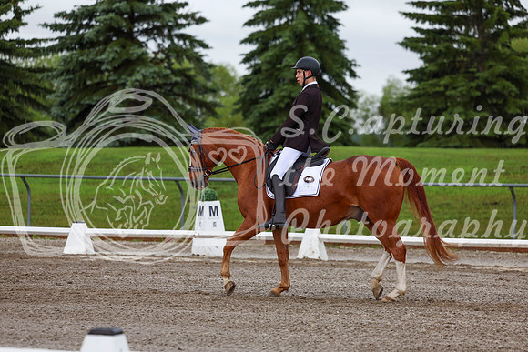 2025 - Dressage Festival - Sunday July 6th - 01330