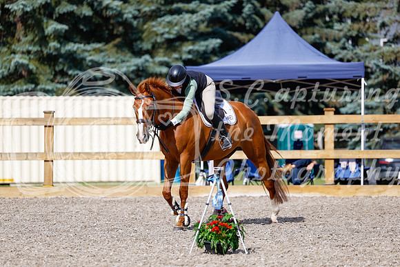 2025 - Haylee - Picco Horse Show - Thursday July 24th 01266