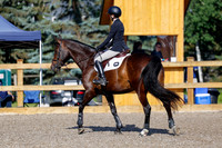 2025 - Haylee - Picco Horse Show - Thursday July 24th 00675