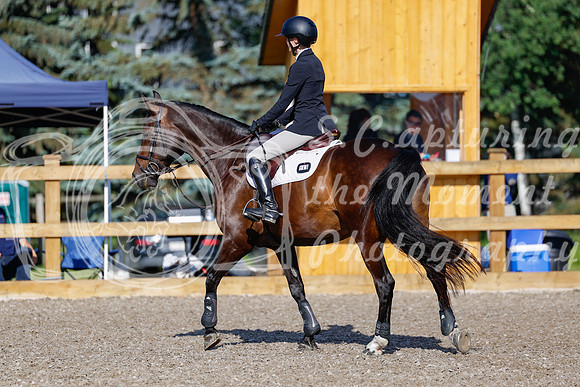 2025 - Haylee - Picco Horse Show - Thursday July 24th 00675