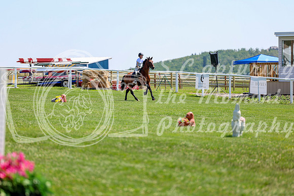 2025 - Shea - Teesdale - Thursday July 24th - 01628