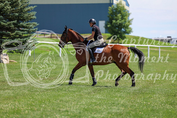 2025 - Shea - Teesdale - Thursday July 24th - 01446