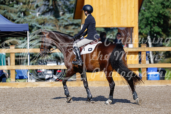 2025 - Haylee - Picco Horse Show - Thursday July 24th 00674