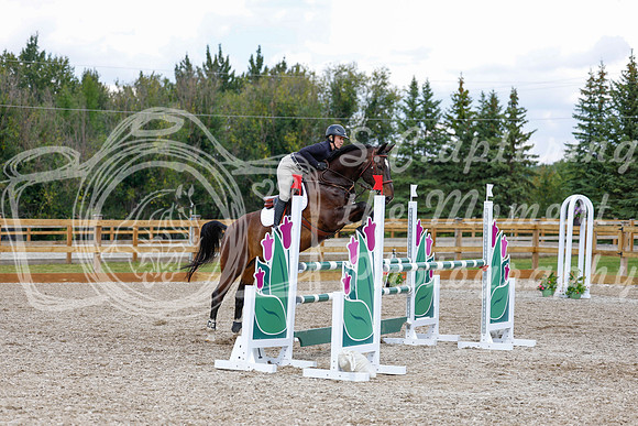 2025 - Haylee - Picco Horse Show - Saturday July 26th 07591