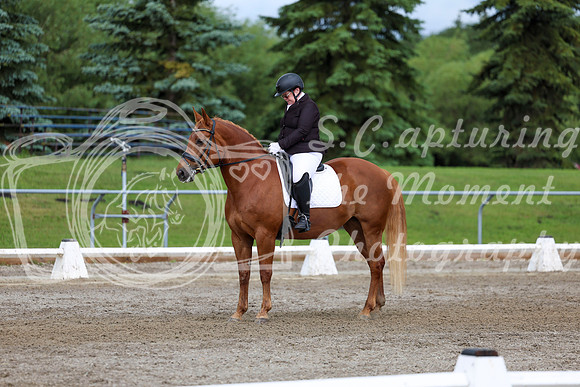 2025 - Dressage Festival - Sunday July 6th - 11312