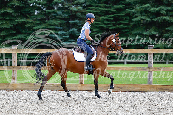 2025 - Haylee - Picco Horse Show - Saturday July 26th 02993