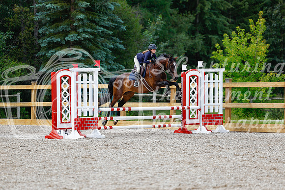 2025 - Haylee - Picco Horse Show - Friay July 25th 01890
