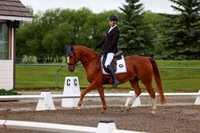 2025 - Dressage Festival - Sunday July 6th - 01337