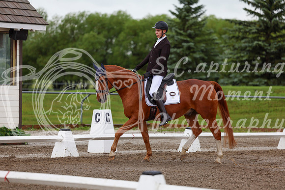 2025 - Dressage Festival - Sunday July 6th - 01337