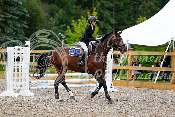 2025 - Haylee - Picco Horse Show - Saturday July 26th 01951