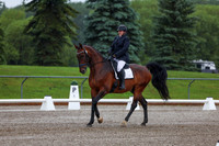 2025 - Dressage Festival - Sunday July 6th - 00351
