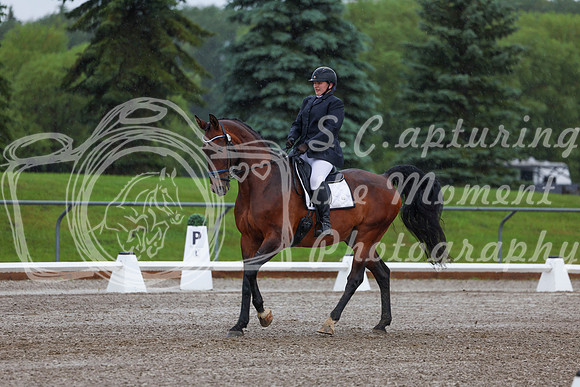 2025 - Dressage Festival - Sunday July 6th - 00351