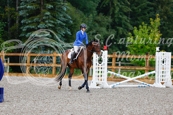 2025 - Haylee - Picco Horse Show - Sunday July 27th 00004