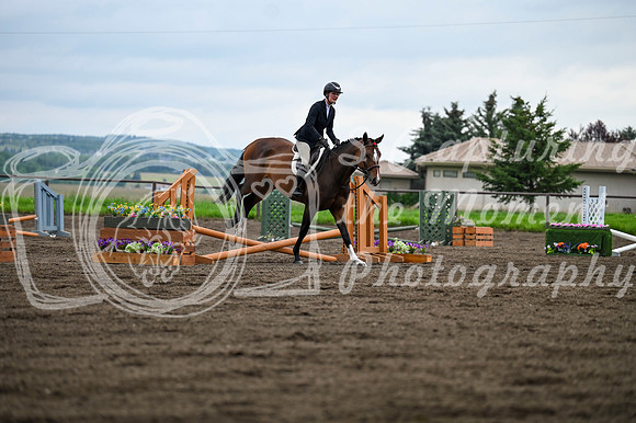 2025 - MJ - Teesdale - Saturday July 26th - 09626