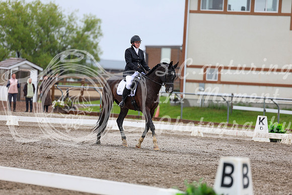 2025 - Dressage Festival - Sunday July 6th - 08115