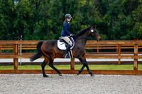 2025 - Haylee - Picco Horse Show - Sunday July 27th 00120