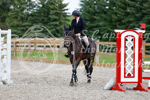 2025 - Haylee - Picco Horse Show - Saturday July 26th 06529
