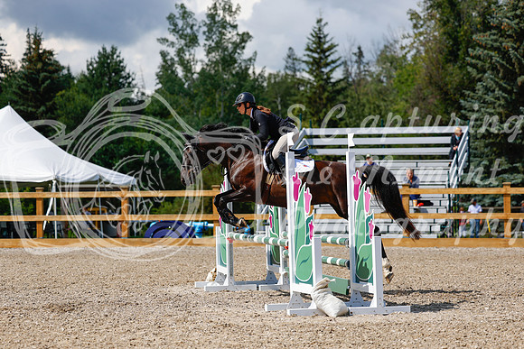 2025 - Haylee - Picco Horse Show - Sunday July 27th 03081