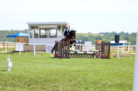 2025 - Shea - Teesdale - Thursday July 24th - 02831
