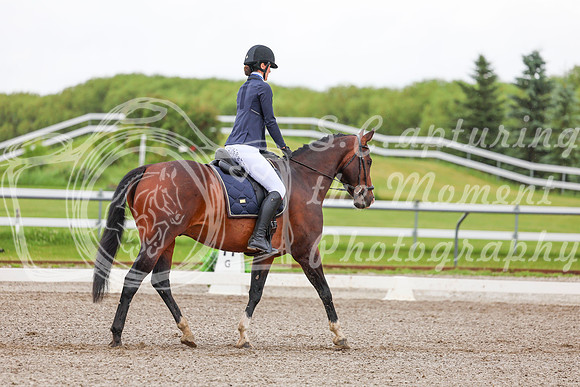 2025 - Dressage Festival - Sunday July 6th - 02131