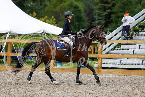 2025 - Haylee - Picco Horse Show - Saturday July 26th 01956