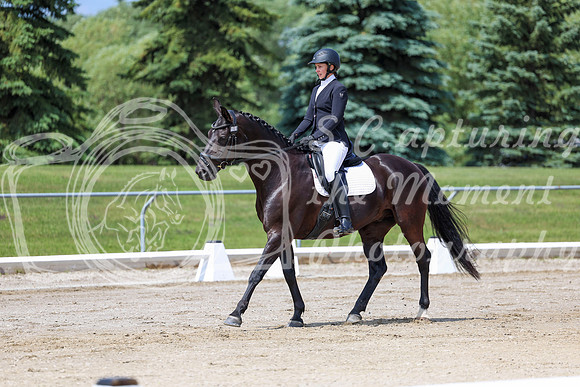 2025 - Dressage Festival - Saturday July 5th - 06975