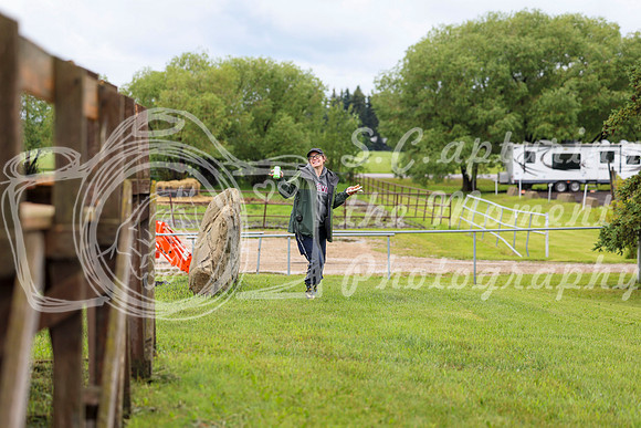 2025 - Dressage Festival - Sunday July 6th - 09542