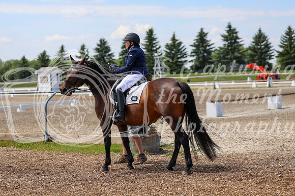 2025 - Dressage Festival - Saturday July 5th - 05999