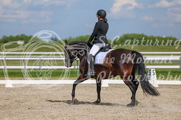 2025 - Dressage Festival - Saturday July 5th - 15241