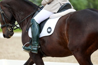2025 - Dressage Festival - Saturday July 5th - 10657