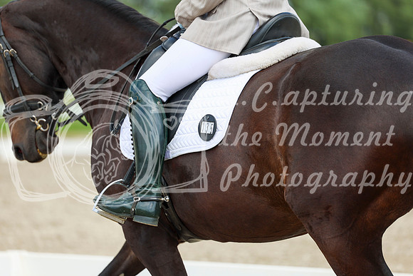 2025 - Dressage Festival - Saturday July 5th - 10657