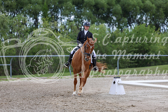 2025 - Dressage Festival - Saturday July 5th - 11170