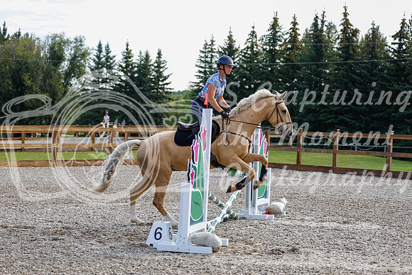 2025 - Haylee - Picco Horse Show - Saturday July 26th 00155