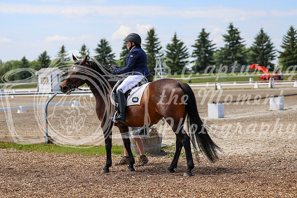 2025 - Dressage Festival - Saturday July 5th - 05998