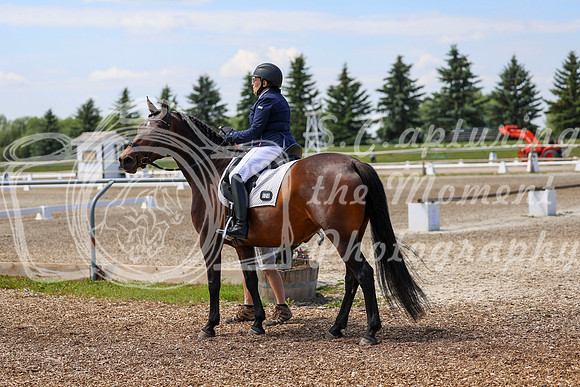 2025 - Dressage Festival - Saturday July 5th - 05991