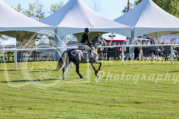 2025 - Shea - Teesdale - Friday July 25th - 03397