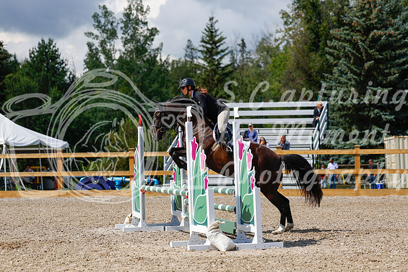 2025 - Haylee - Picco Horse Show - Sunday July 27th 03076