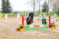 2025 - Mara - Bow Valley II - Saturday May 17th - 06949