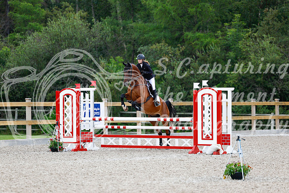 2025 - Haylee - Picco Horse Show - Sunday July 27th 04536