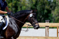 2025 - Haylee - Picco Horse Show - Thursday July 24th 04122