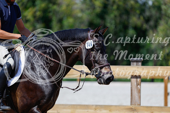 2025 - Haylee - Picco Horse Show - Thursday July 24th 04122