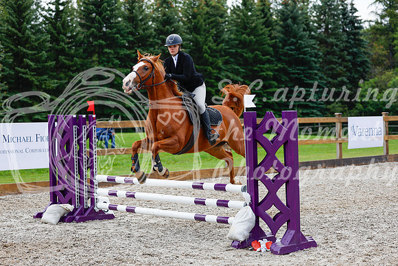 2025 - Haylee - Picco Horse Show - Sunday July 27th 02168