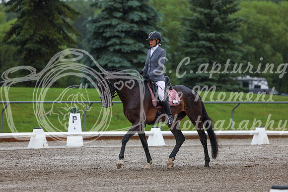 2025 - Dressage Festival - Sunday July 6th - 00608