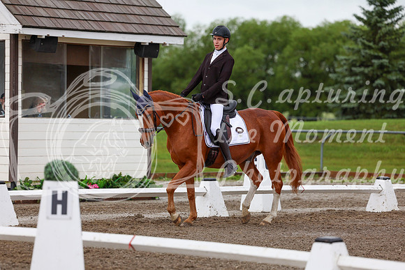 2025 - Dressage Festival - Sunday July 6th - 01341