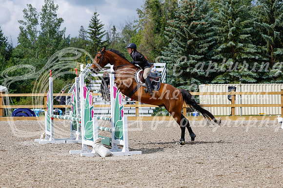2025 - Haylee - Picco Horse Show - Sunday July 27th 02722