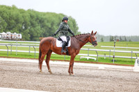 2025 - Dressage Festival - Sunday July 6th - 03582
