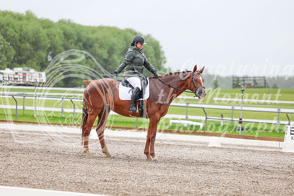 2025 - Dressage Festival - Sunday July 6th - 03582