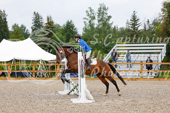 2025 - Haylee - Picco Horse Show - Sunday July 27th 00023