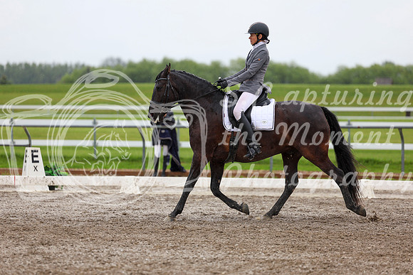 2025 - Dressage Festival - Sunday July 6th - 07012