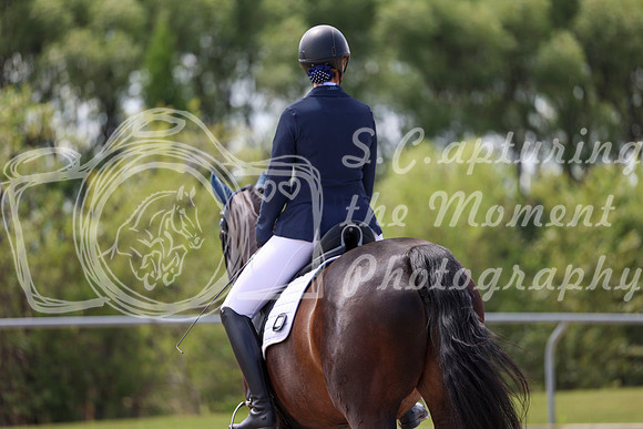 2025 - Dressage Festival - Saturday July 5th - 07493